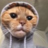 Profilbild von mathéo 🧃