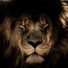 Tired's profile picture