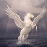 Profilbild von Profesor Pegaso