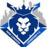 Фото профиля New London Lionesses FC (talks football)