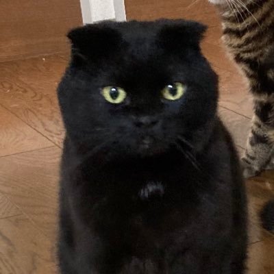 縄@縄は社交ダンス's profile picture