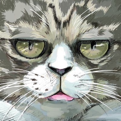 BarcaComposite's profile picture