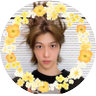 ぴりぴよランド profil fotoğrafı