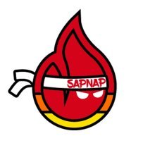 sapnap's profile picture