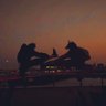 はてな【動画編集/作曲/システムエンジニア】's profile picture