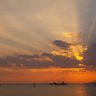 La Tramonto's profile picture