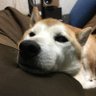 Profilbild von zak