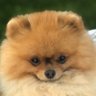 Soter's profile picture