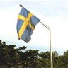 Profilbild von Dravid Næsan 🇸🇪 🇵🇱 🇮🇱