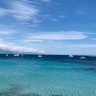 Vinzantibes 的头像