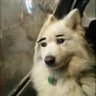 Profilbild von 매구매구