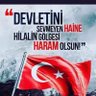 Hamza Ercan's profile picture