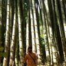 Poerwanto_Ponco82's profile picture