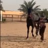Фото профиля غياث