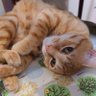 ざまっち profil fotoğrafı