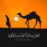 ناصر's profile picture