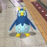 Profilbild von よっしー