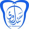 Фото профиля Hamdaoui moussa
