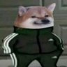 Perrito Adidas 的头像