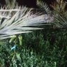 نواف الحربي profil fotoğrafı