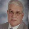 فتحي عبد الغفار الهنداوي 的头像