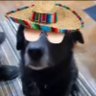 Spicy Retort's profile picture