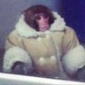 Arctic monkey 🇩🇪's profile picture