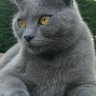La Girondine's profile picture