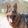 Zofia Kołomycka's profile picture