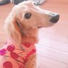 みー🐾💛 的头像