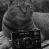 マミヤ・セコール profil fotoğrafı