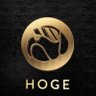 Hoge Sports's profile picture