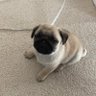 Фото профиля Greg