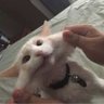Lil Jam's profile picture