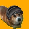 Charble's profile picture