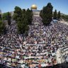 Фото профиля Zouhair Abaida