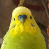 Myron_D's profile picture