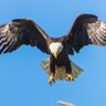 Фото профиля Hasan Kdr🦅