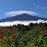 Ofú Rigodón 的头像