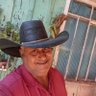 Darci Norberto Gomes's profile picture