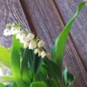 じゅん。きののっち🍀 profil fotoğrafı