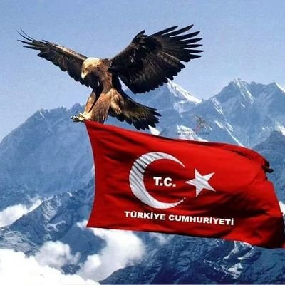 @Zekcoin's profile picture