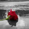Kh.Khawla's profile picture