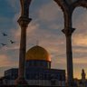 Profilbild von فهد الفريحان