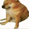 Kralus's profile picture