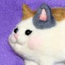 Profilbild von 🐾さび猫🐈⬛ぽんこつライダー
