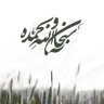 ⭐️⭐️شادي⭐️⭐️ 的头像