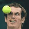 Profilbild von Will
