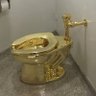 DJTToilet's profile picture