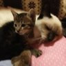 えま's profile picture